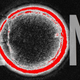 Illustration for article titled Biggest Scientific Breakthroughs of 2013